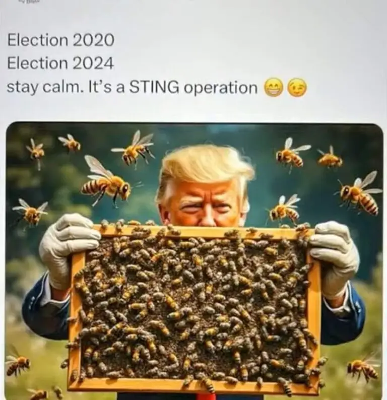 Trump wins by a landslide!