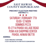 Save the Date: District 4 Precinct Election Meeting